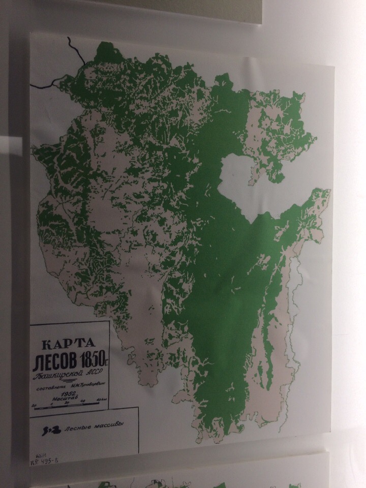 Карта лесов 1850 года